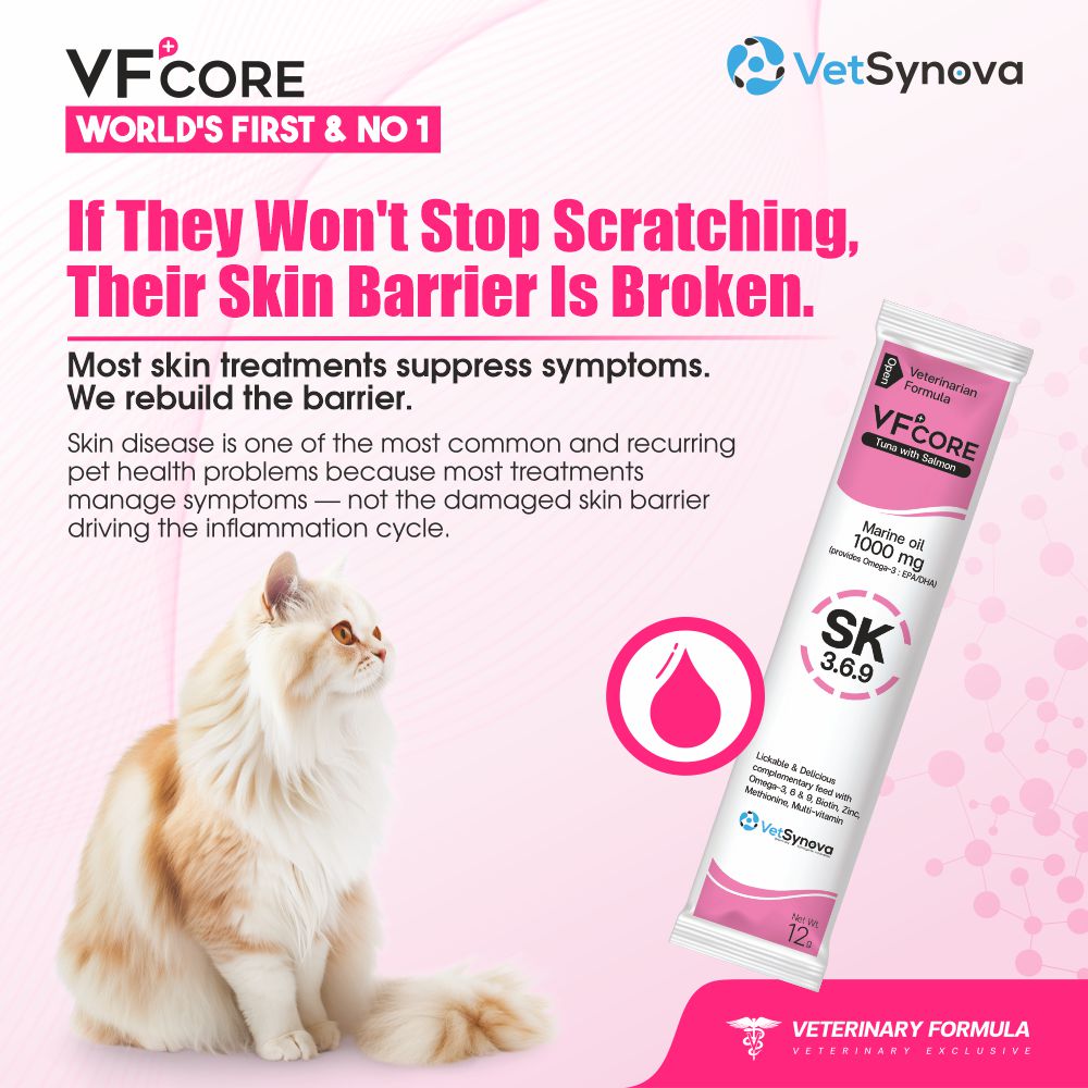 VFCore SK — Triple Omega 3.6.9 Skin & Coat Supplement for Cats | 12g Lickable Sachet
