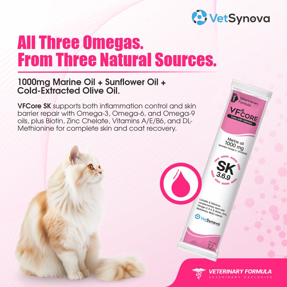 VFCore SK — Triple Omega 3.6.9 Skin & Coat Supplement for Cats | 12g Lickable Sachet
