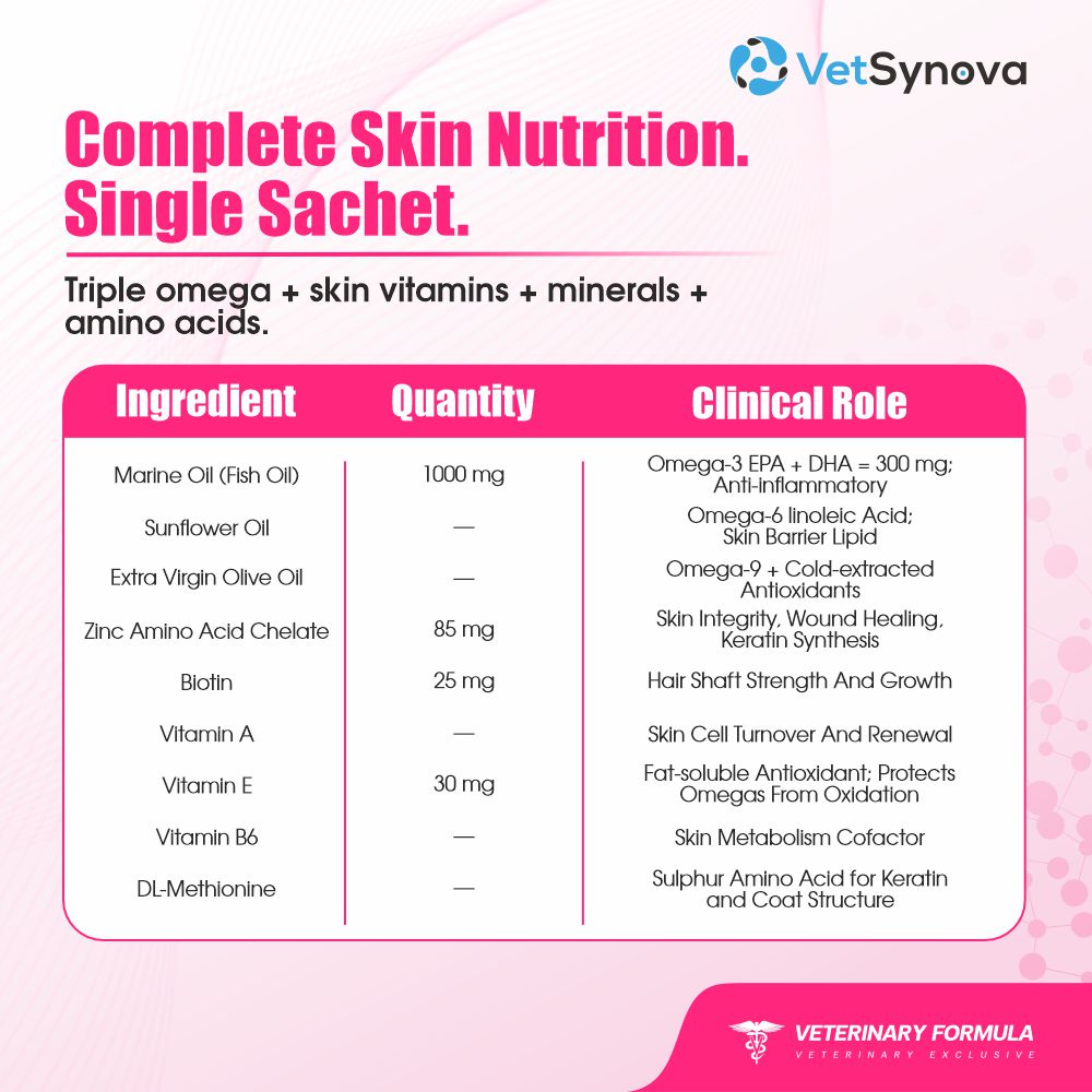 VFCore SK — Triple Omega 3.6.9 Skin & Coat Supplement for Cats | 12g Lickable Sachet