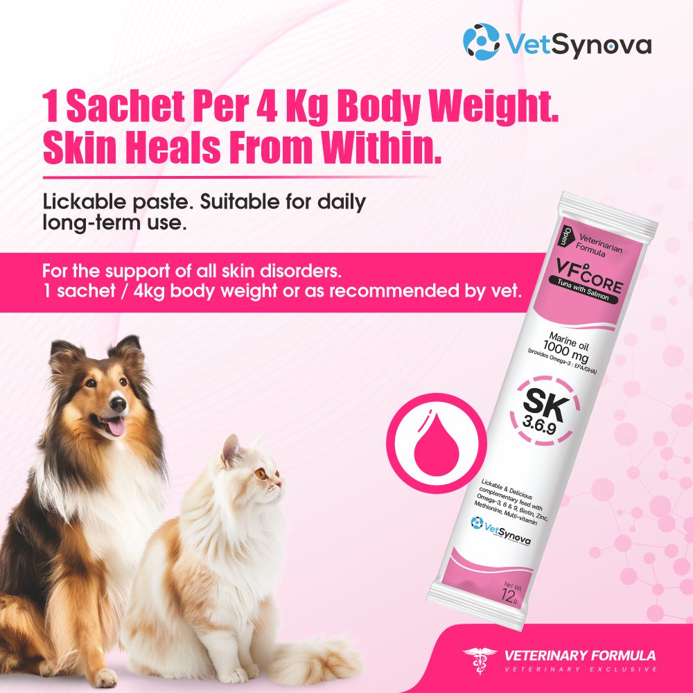 VFCore SK — Triple Omega 3.6.9 Skin & Coat Supplement for Cats | 12g Lickable Sachet