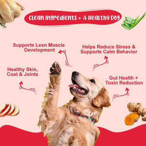 Superfood Power Dog Food Trial Pack (Gut Guard+ | Super Feast+ | K9 Immune) 2+2+2