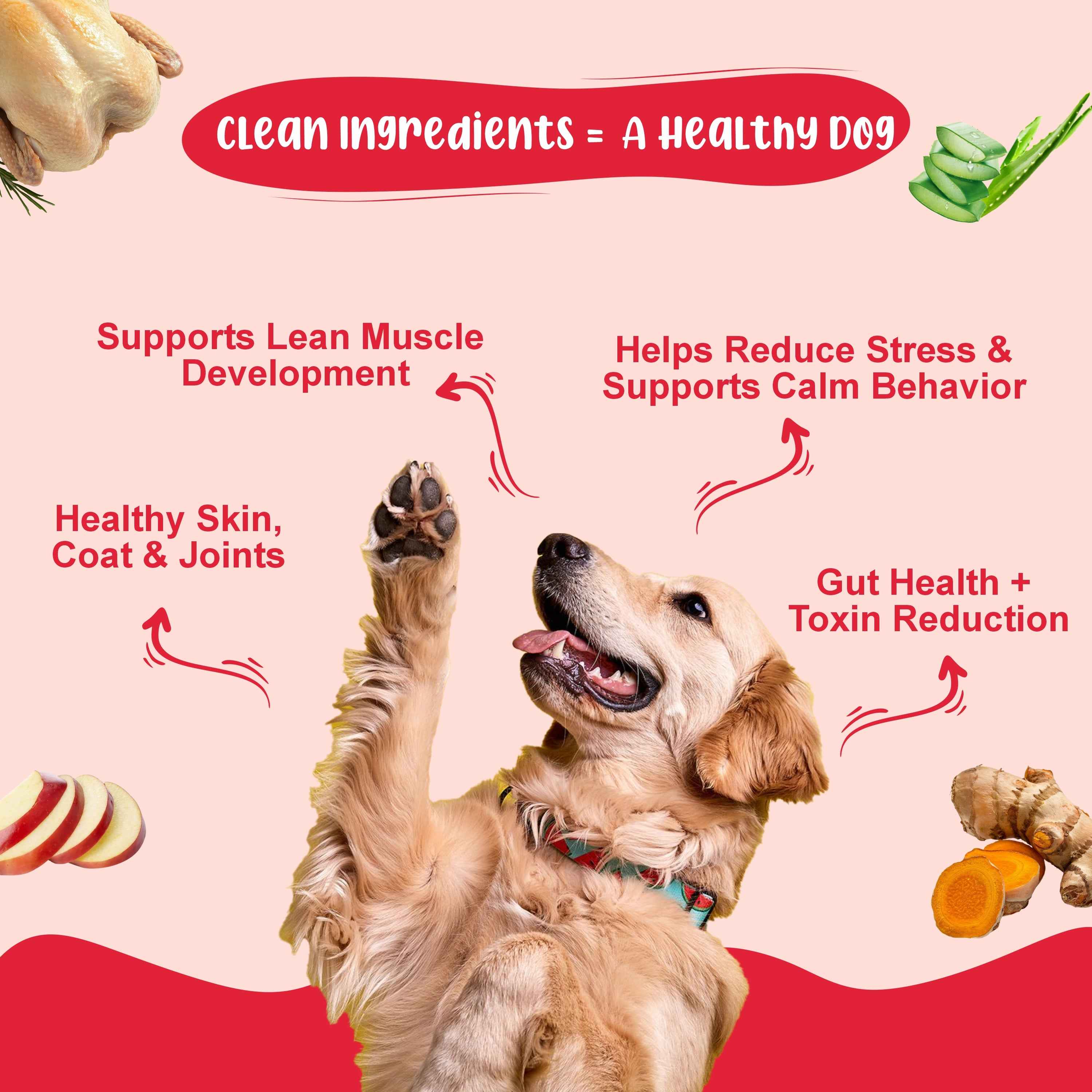 Superfood Power Dog Food Trial Pack (Gut Guard+ | Super Feast+ | K9 Immune) 2+2+2