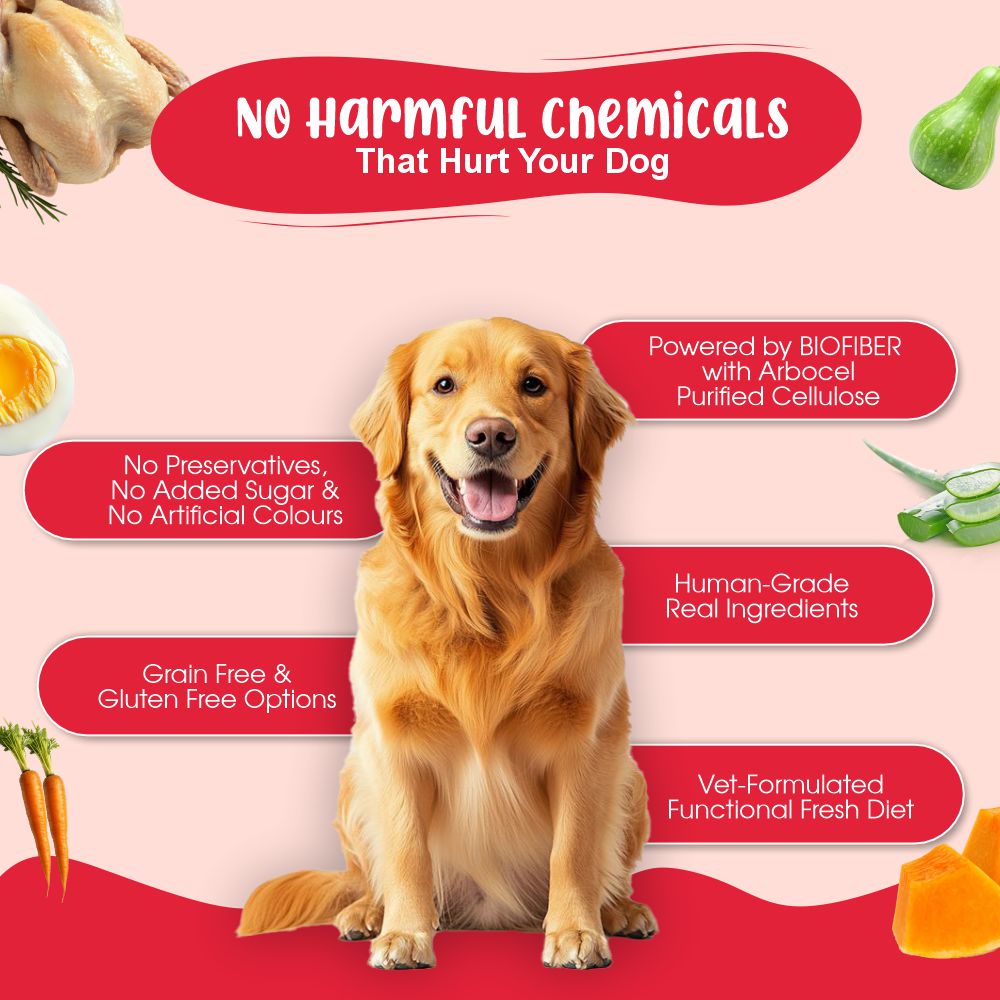 Senior Dog Food Health Monthly Pack (Renal Care+ | Gut Guard+ | K9 Immune Broth | K9 Joint Care Broth) 10+10+5+2 (7+ Years Dog)