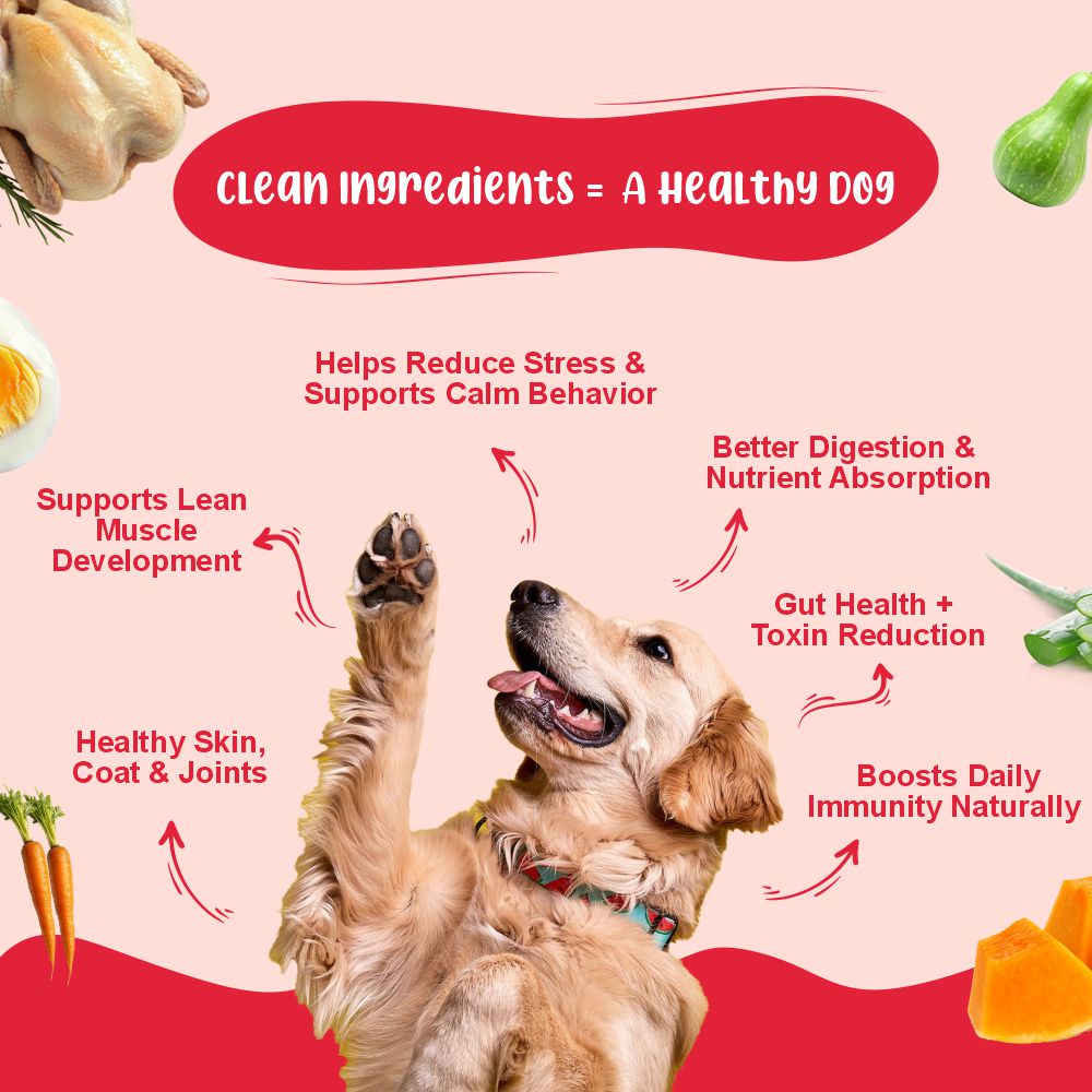 Senior Dog Food Health Monthly Pack (Renal Care+ | Gut Guard+ | K9 Immune Broth | K9 Joint Care Broth) 10+10+5+2 (7+ Years Dog)