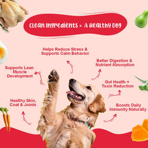 Senior Dog Food Health Monthly Pack (Renal Care+ | Gut Guard+ | K9 Immune Broth | K9 Joint Care Broth) 10+10+5+2 (7+ Years Dog)