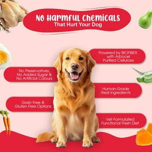 Senior Dog Food Health Monthly Pack (Renal Care+ | Gut Guard+ | K9 Immune Broth | K9 Joint Care Broth) 10+10+5+2 (7+ Years Dog)
