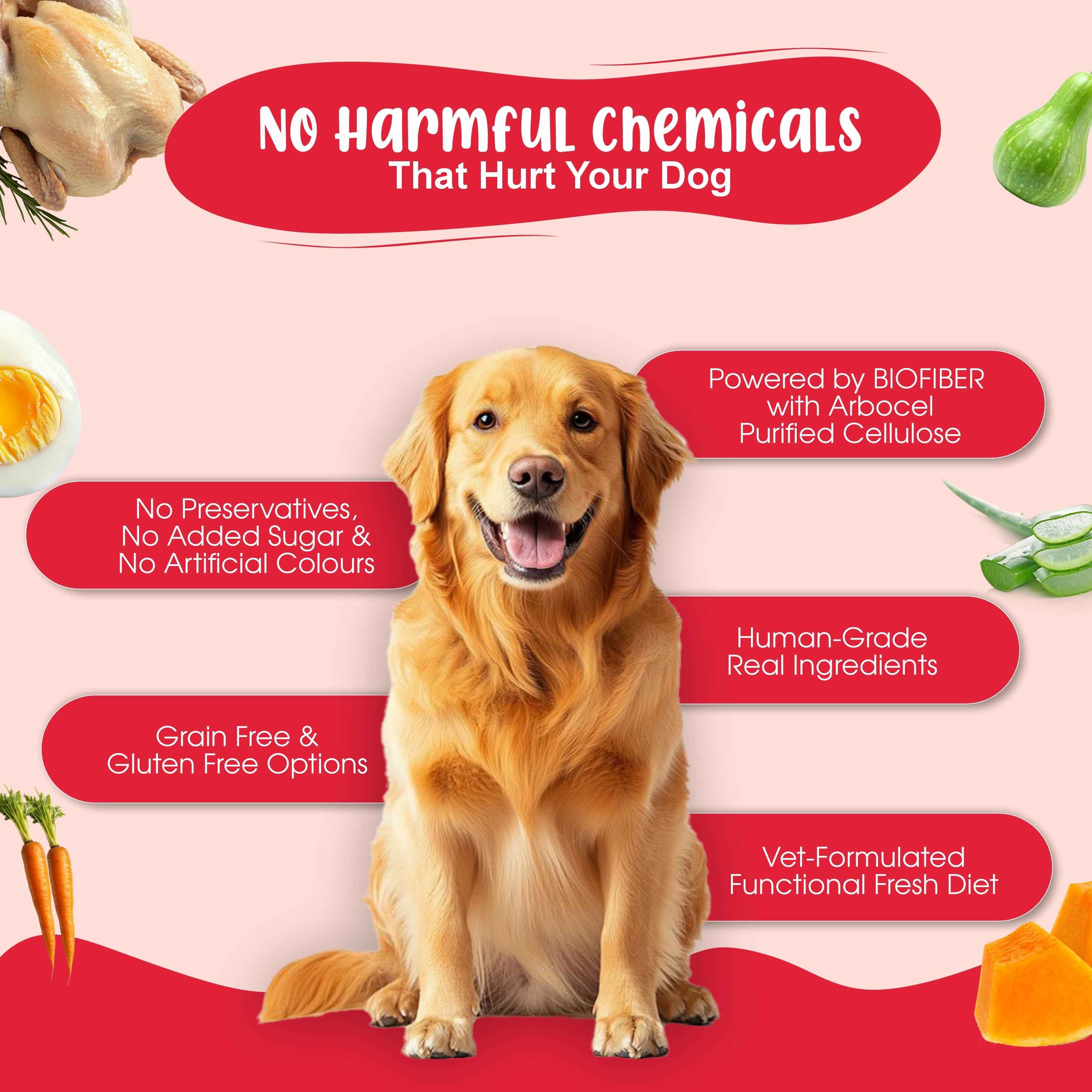 Senior Dog Food Health Monthly Pack (Renal Care+ | Gut Guard+ | K9 Immune Broth | K9 Joint Care Broth) 10+10+5+2 (7+ Years Dog)