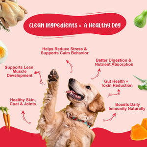 Senior Dog Food Health Monthly Pack (Renal Care+ | Gut Guard+ | K9 Immune Broth | K9 Joint Care Broth) 10+10+5+2 (7+ Years Dog)