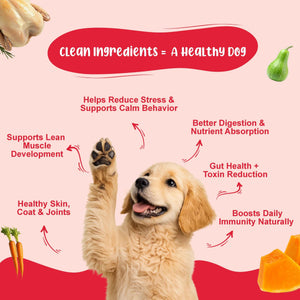 Small Dog Food Starter Monthly Pack (Chicken Rice & Veggies | Chicken Pumpkin | K9 Immune Bone Broth) 5+5+2 - (2–10 kg)
