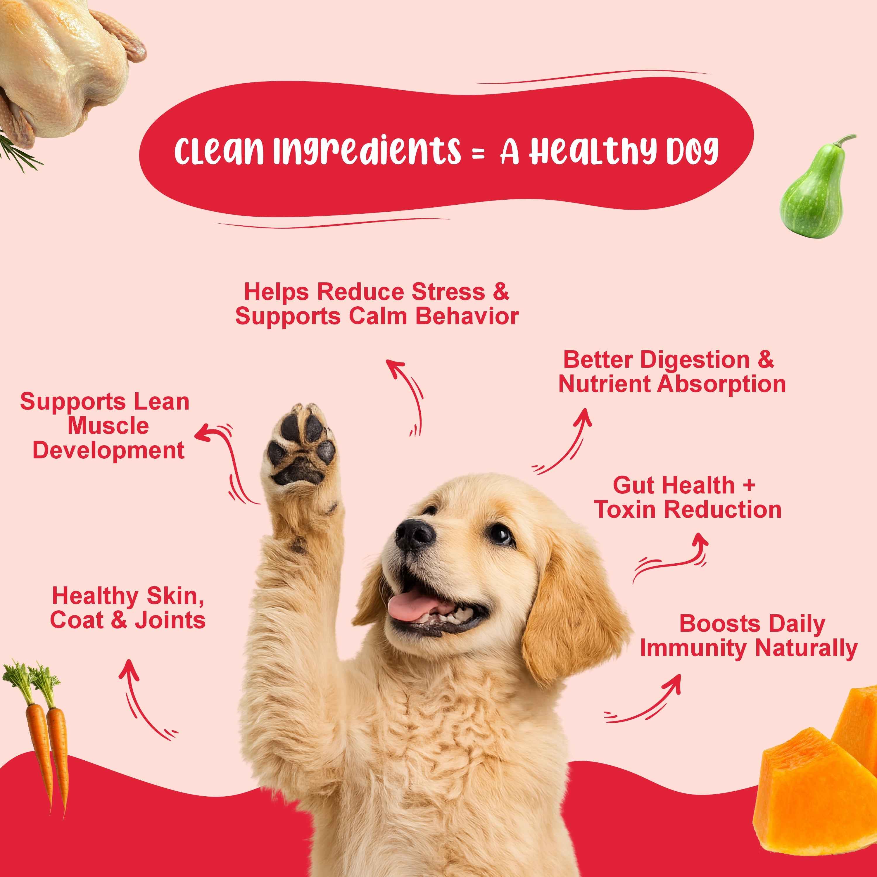 Small Dog Food Starter Monthly Pack (Chicken Rice & Veggies | Chicken Pumpkin | K9 Immune Bone Broth) 5+5+2 - (2–10 kg)