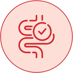 Strengthens Gut Immunity