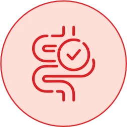 Strengthens Gut & Immunity Under Stress