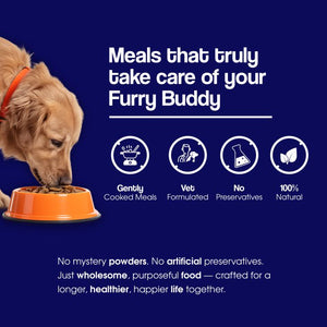 Super Feast+ Multi-Layer Superfood Functional Fresh Dog Food