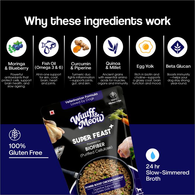 Super Feast+ Gently Cooked Dog Food | Vet-Formulated Superfood Functional Fresh Food For Dogs Powered By BIOFIBER™ Arbocel® Plant-Based Fiber