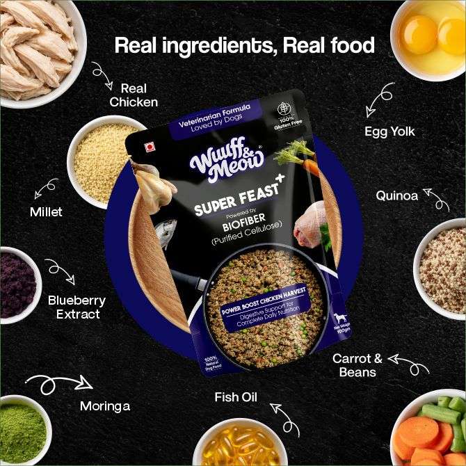Super Feast+ Multi-Layer Superfood Functional Fresh Dog Food
