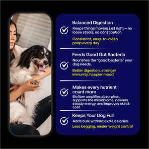 Super Feast+ Multi-Layer Superfood Functional Fresh Dog Food
