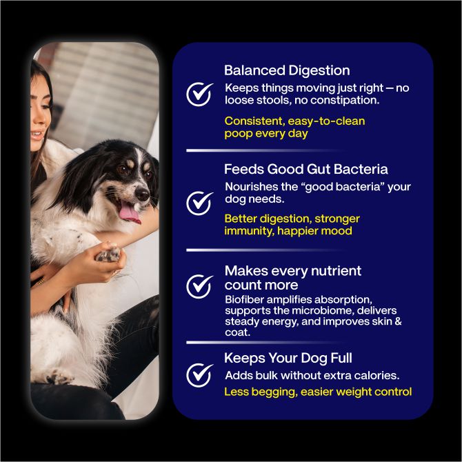 Super Feast+ Multi-Layer Superfood Functional Fresh Dog Food
