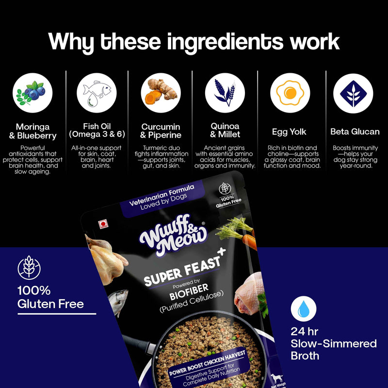 Super Feast+ Gently Cooked Dog Food | Vet-Formulated Superfood Functional Fresh Food For Dogs Powered By BIOFIBER™ Arbocel® Plant-Based Fiber