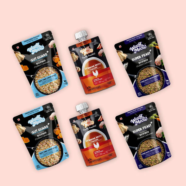 Superfood Power Dog Food Trial Pack | Functional Nutrition for Dogs
