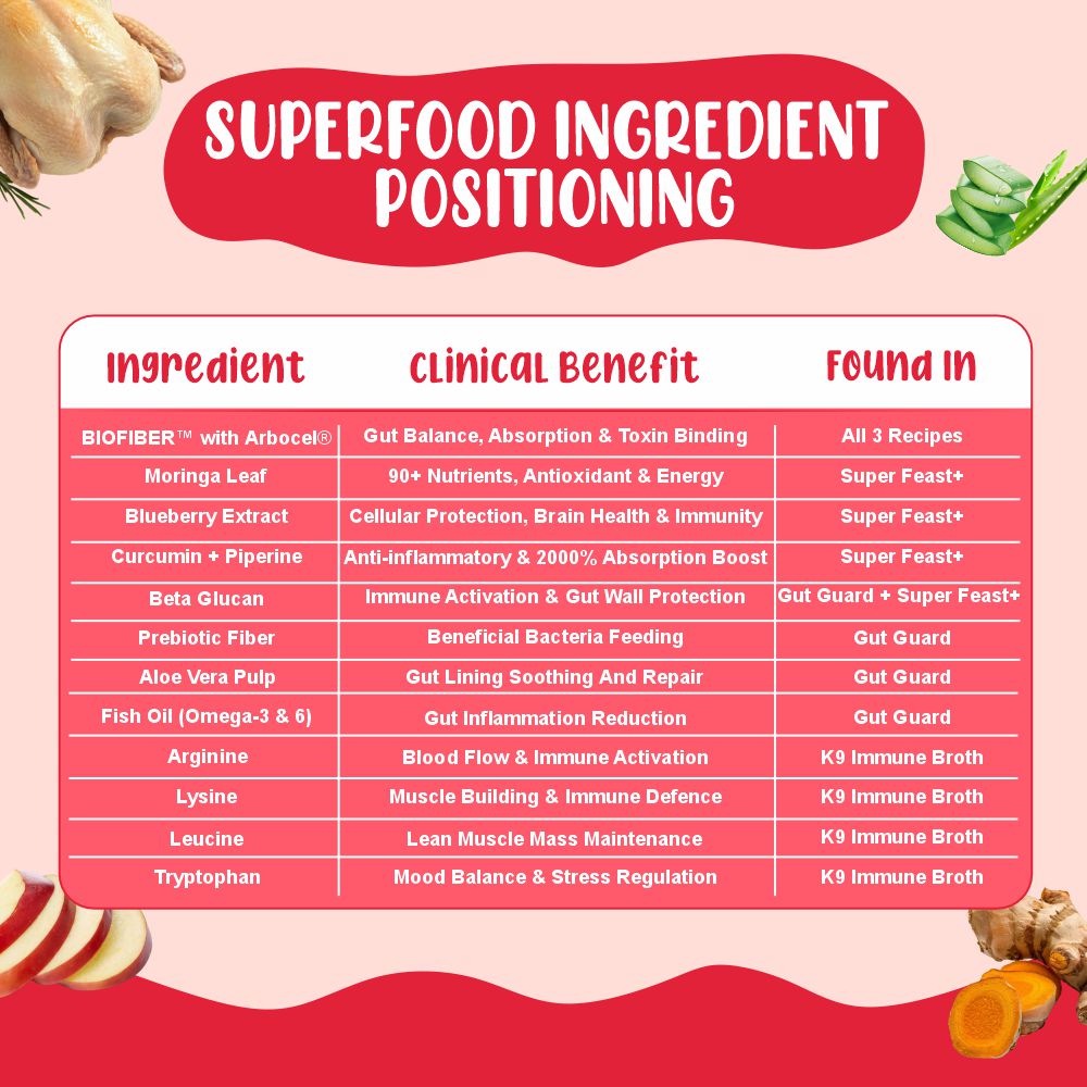 Superfood Power Dog Food Trial Pack (Gut Guard+ | Super Feast+ | K9 Immune) 2+2+2
