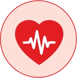 Supports Cardiac Function