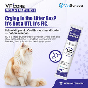 VFCore UC — Urinary & Calming Supplement for Cats | FIC & Stress Relief | 12g Lickable Sachet