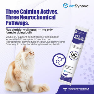 VFCore UC — Urinary & Calming Supplement for Cats | FIC & Stress Relief | 12g Lickable Sachet