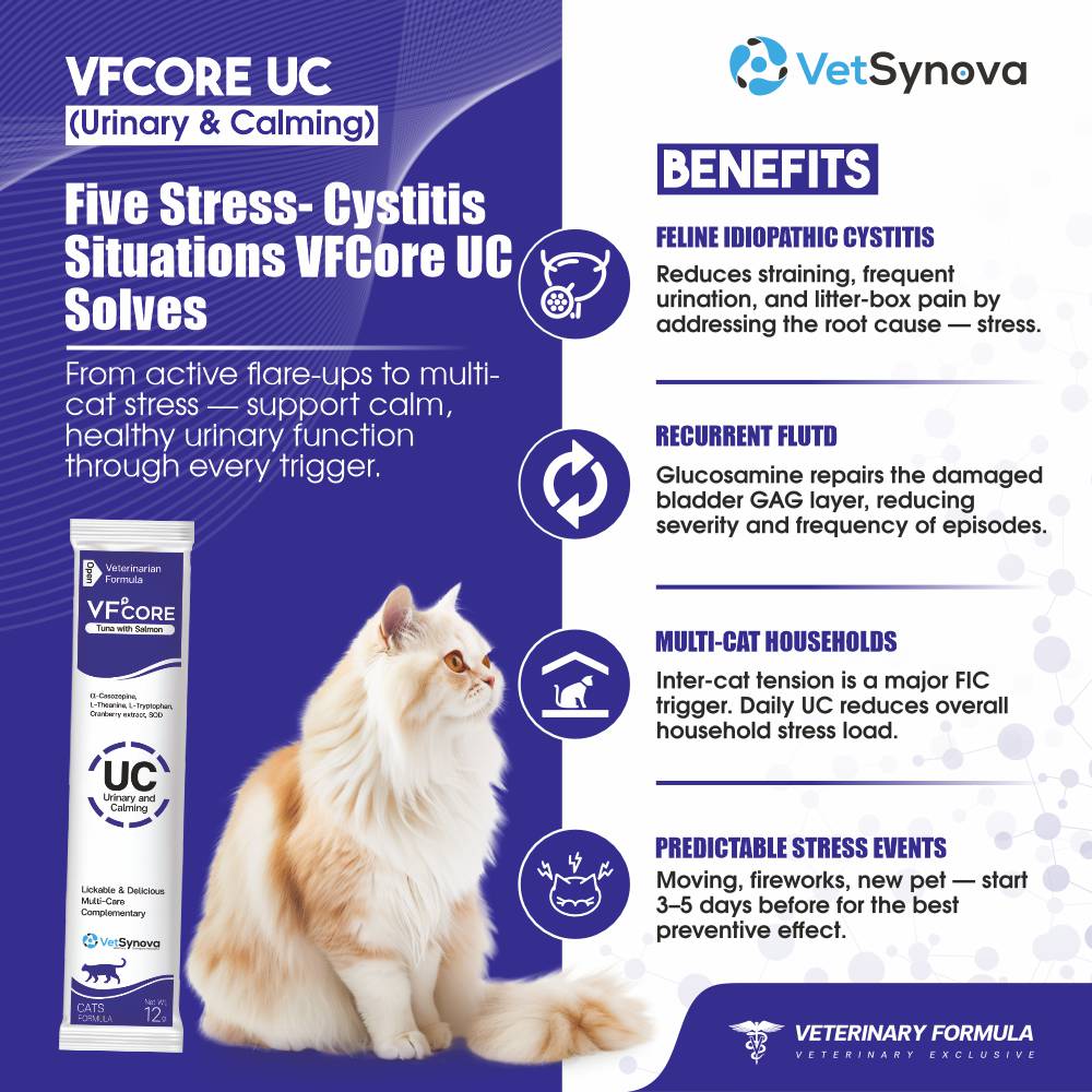 VFCore UC — Urinary & Calming Supplement for Cats | FIC & Stress Relief | 12g Lickable Sachet