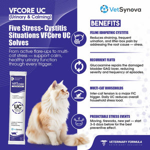VFCore UC — Urinary & Calming Supplement for Cats | FIC & Stress Relief | 12g Lickable Sachet