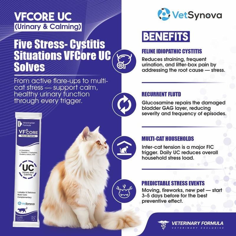 VFCore UC — Urinary & Calming Supplement for Cats | FIC & Stress Relief | 12g Lickable Sachet