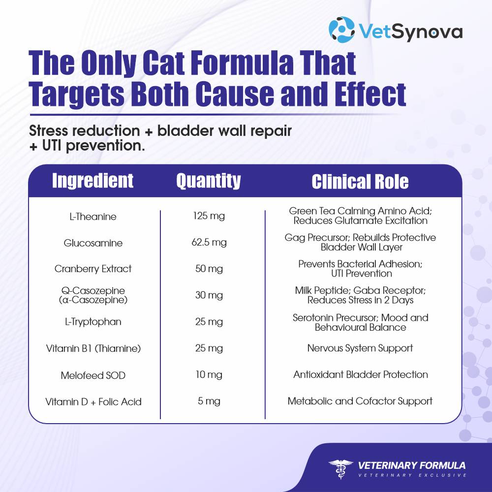 VFCore UC — Urinary & Calming Supplement for Cats | FIC & Stress Relief | 12g Lickable Sachet