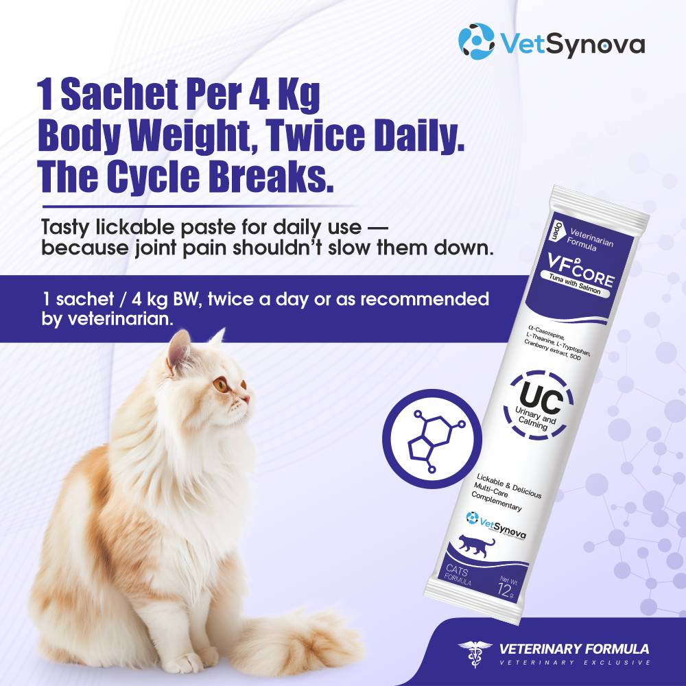 VFCore UC — Urinary & Calming Supplement for Cats | FIC & Stress Relief | 12g Lickable Sachet