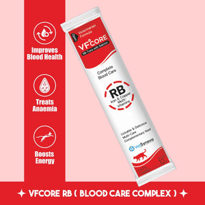 VFCore RB — Blood Care Complex for Cats | Iron + B-Complex | 12g Lickable Sachet