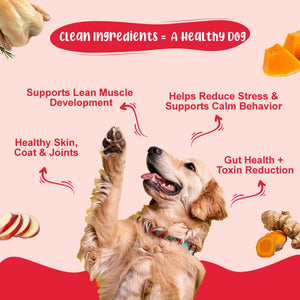 Weight & Gut Reset Dog Food Trial Pack (Lean Care+ | Gut Guard+ | K9 Immune | Chicken Pumpkin) 2+2+2+2