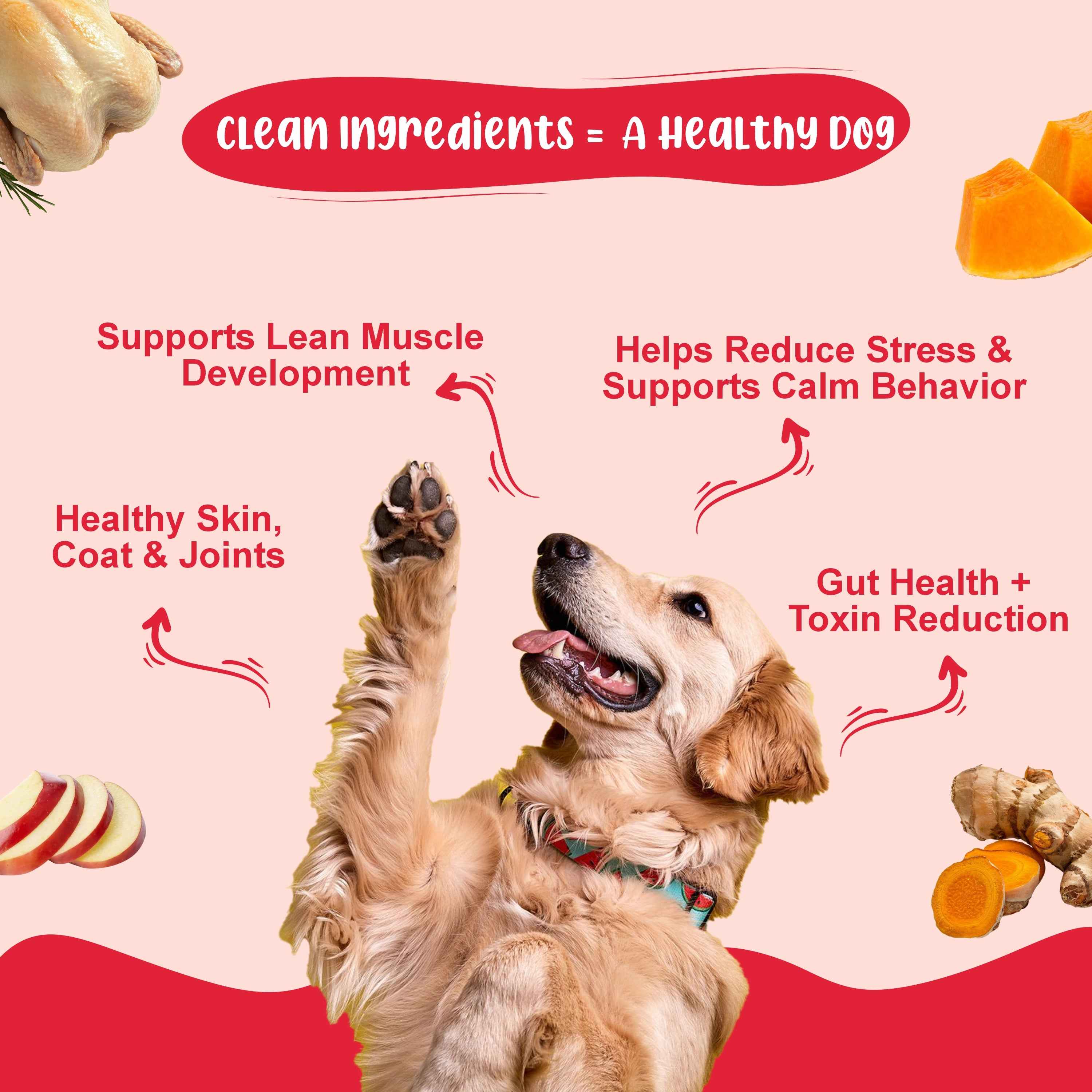 Weight & Gut Reset Dog Food Trial Pack (Lean Care+ | Gut Guard+ | K9 Immune | Chicken Pumpkin) 2+2+2+2