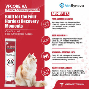VFCore AA — BCAA Amino Acid Supplement for Cats | 12g Lickable Sachet