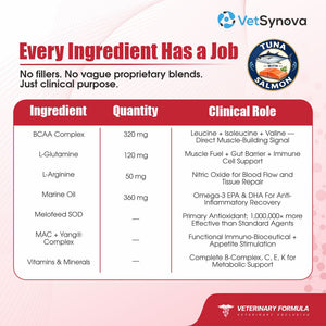 VFCore AA — BCAA Amino Acid Supplement for Cats | 12g Lickable Sachet