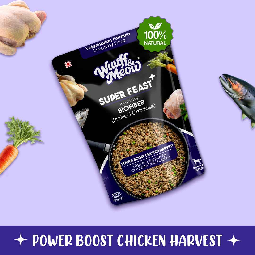Super Feast+ Gently Cooked Dog Food | Vet-Formulated Superfood Functional Fresh Food For Dogs Powered By BIOFIBER™ Arbocel® Plant-Based Fiber