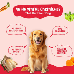 Chicken Combo Dog Food Trial Pack (Chicken Rice & Veggies | Chicken Pumpkin With Vegetables) 2+2