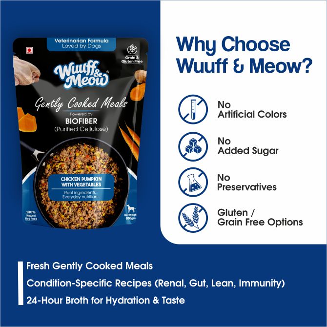 Chicken Pumpkin with Vegetables Dog Food — Gently Cooked Wet Dog Meal with Zero Preservatives| Powered By BioFiber - Arbocel Purified Plant-Based Fiber | 100g