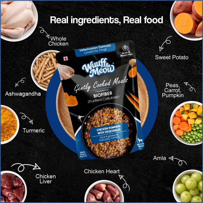 Chicken Pumpkin with Vegetables Dog Food — Gently Cooked Wet Dog Meal with Zero Preservatives| Powered By BioFiber - Arbocel Purified Plant-Based Fiber | 100g