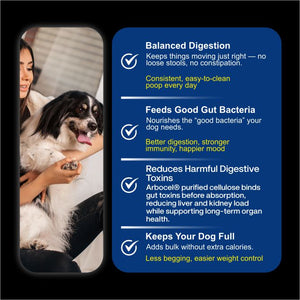 Chicken Pumpkin with Vegetables Dog Food — Gently Cooked Wet Dog Meal with Zero Preservatives| Powered By BioFiber - Arbocel Purified Plant-Based Fiber | 100g