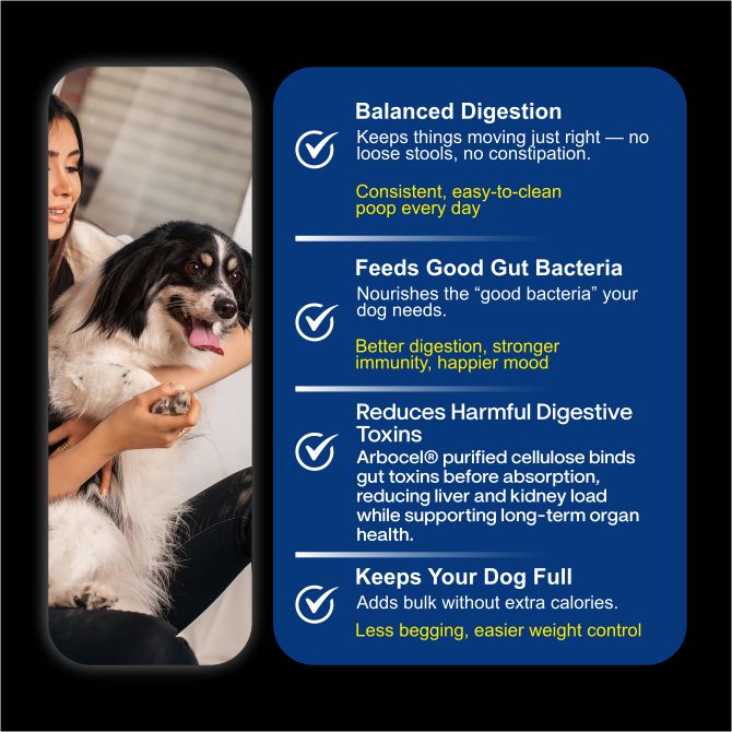 Chicken Pumpkin with Vegetables Dog Food — Gently Cooked Wet Dog Meal with Zero Preservatives| Powered By BioFiber - Arbocel Purified Plant-Based Fiber | 100g