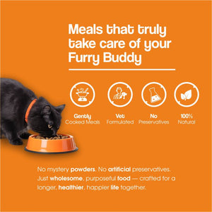 Chicken & Salmon Medley Cat Food | Gently Cooked Fresh Wet Food For Cat | 100g | Powered By BioFiber - Arbocel Purified Plant-Based Fiber