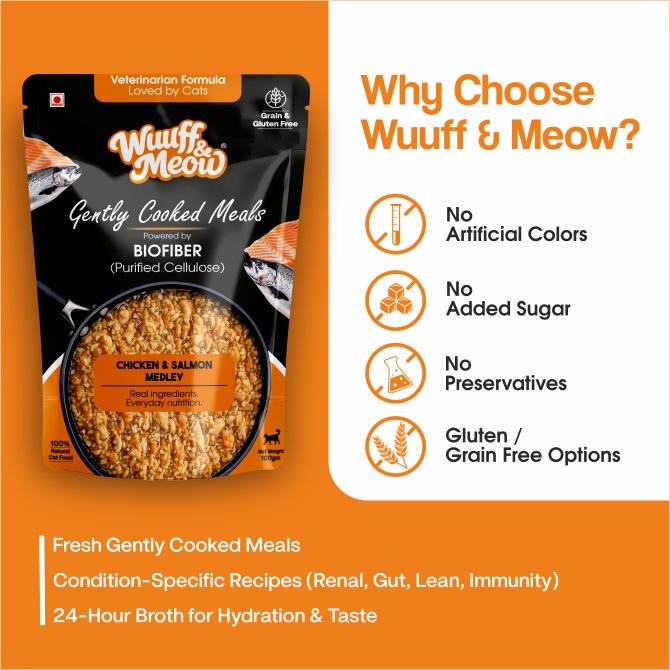 Chicken & Salmon Medley Cat Food | Gently Cooked Fresh Wet Food For Cat | 100g | Powered By BioFiber - Arbocel Purified Plant-Based Fiber