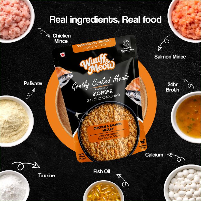 Chicken & Salmon Medley Cat Food | Gently Cooked Fresh Wet Food For Cat | 100g | Powered By BioFiber - Arbocel Purified Plant-Based Fiber
