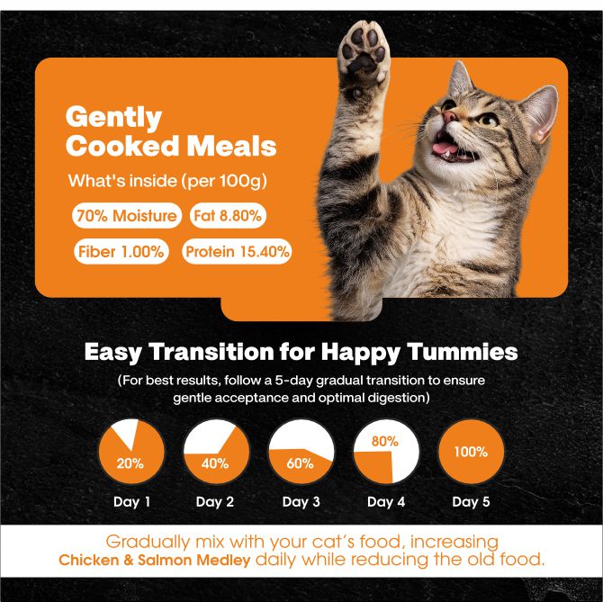 Chicken & Salmon Medley Cat Food | Gently Cooked Fresh Wet Food For Cat | 100g | Powered By BioFiber - Arbocel Purified Plant-Based Fiber