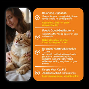Chicken & Salmon Medley Cat Food | Gently Cooked Fresh Wet Food For Cat | 100g | Powered By BioFiber - Arbocel Purified Plant-Based Fiber