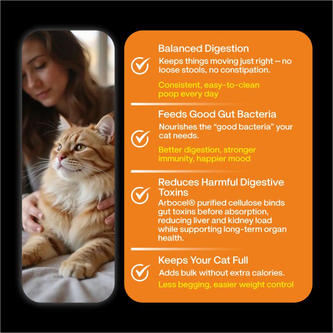 Chicken & Salmon Medley Cat Food | Gently Cooked Fresh Wet Food For Cat | 100g | Powered By BioFiber - Arbocel Purified Plant-Based Fiber