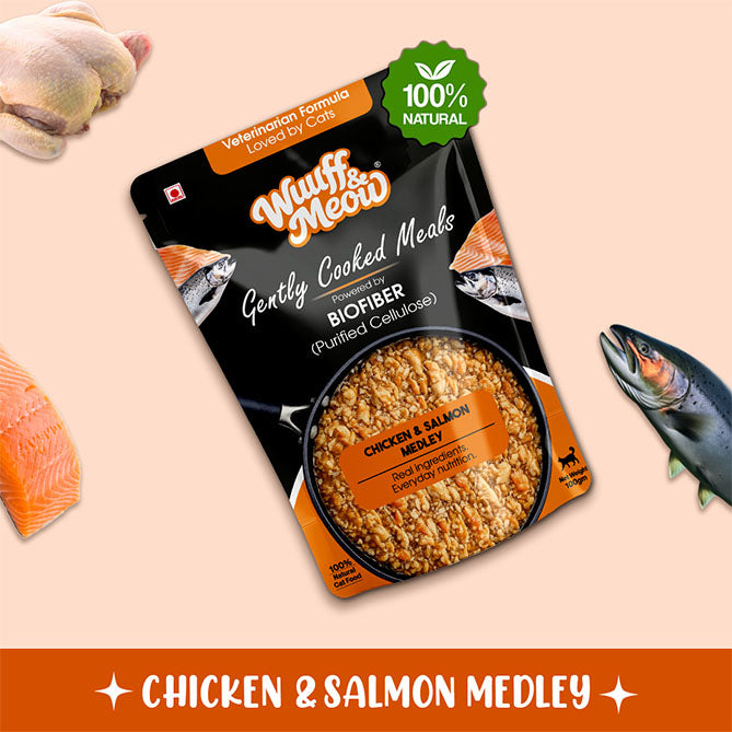 Chicken & Salmon Medley Cat Food | Gently Cooked Fresh Wet Food For Cat | 100g | Powered By BioFiber - Arbocel Purified Plant-Based Fiber